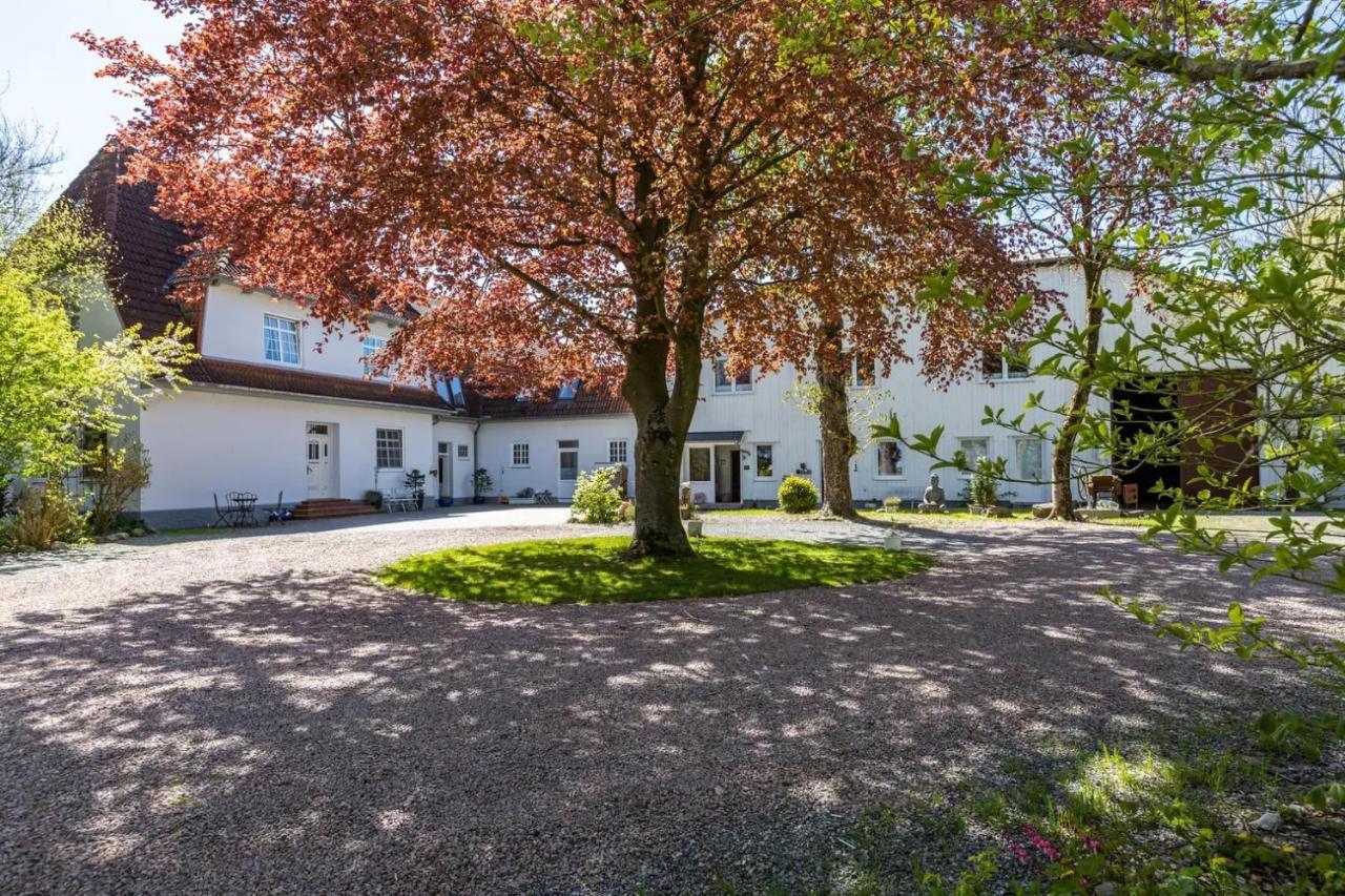 Reußenköge Denkerhof Apartment Bergkristall מראה חיצוני תמונה